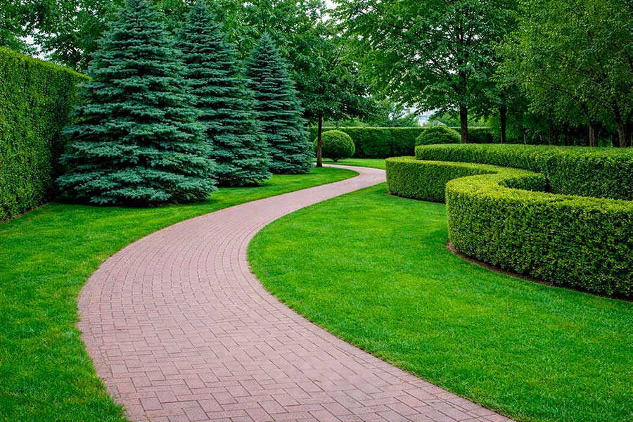 Jardinería y mantenimiento de zonas verdes