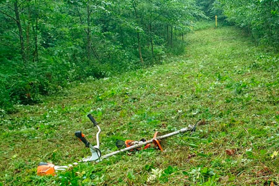 Mantenimiento en infraestructuras